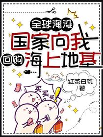 全球淹没：国家向我回购海上地基